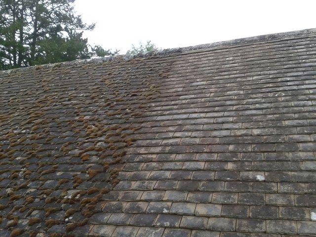 Roof Cleaning Services Sale