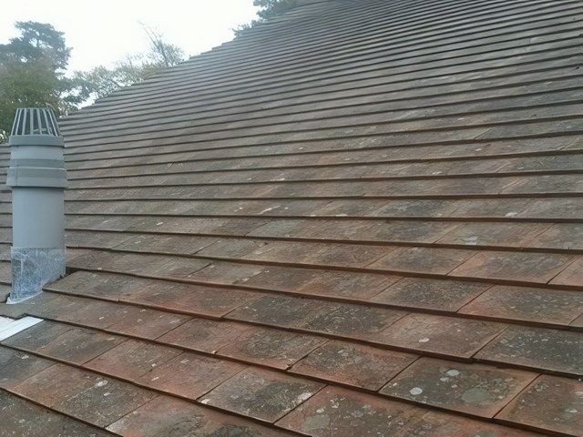 Roof After Cleaning