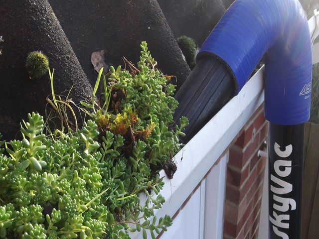 Gutter Cleaning Services Sale